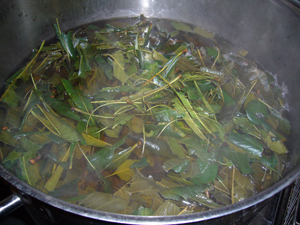 びわの葉を鍋で煮ている写真